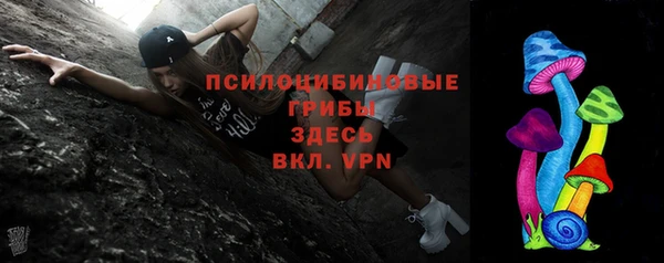 эйфоретик Козельск
