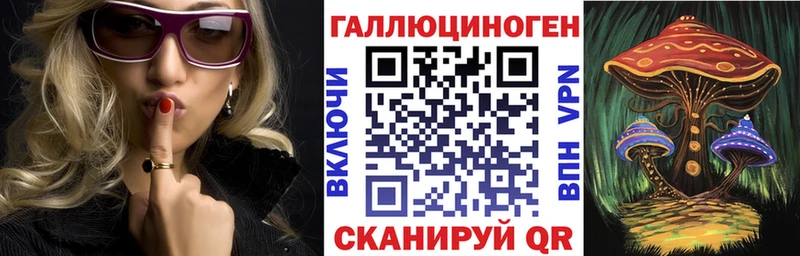 Купить закладки  Гаджиево  Галлюциногенные грибы GOLDEN TEACHER 